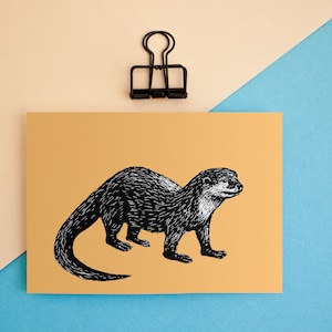Loutre de carte postale, illustration animale