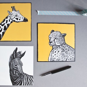Animaux sauvages, coffret de cartes postales pour les amoureux de la nature