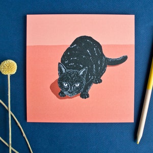 Gatto da cartolina sdraiato in formato quadrato di attesa
