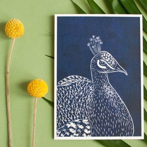 Pfau Postkarte A6, Postkarte von Linoldruck, Tierillustration Vogel