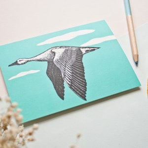 Postkarte Graugans, Tier Illustration
