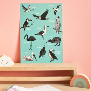 Póster pájaros A4, ilustraciones de animales.