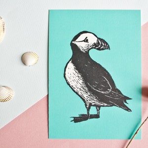 Postkarte Papageientaucher, Puffin Illustration