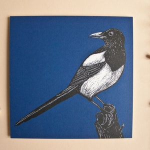 Pie de carte postale, illustration d'oiseau pour les amoureux de la nature