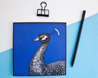 Postcard peacock, bird illustration