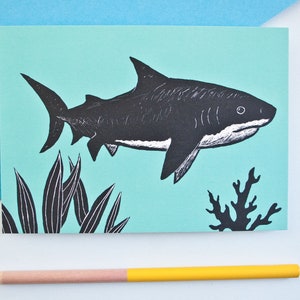 Requin de carte postale, illustration animale
