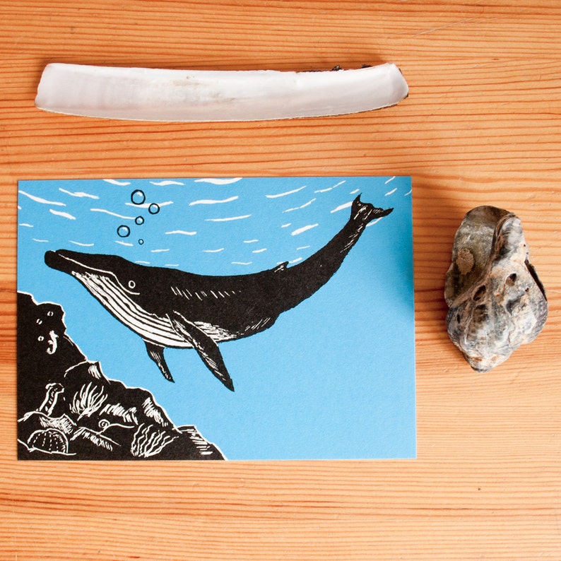 Postcard Whale, animal illustration image 3