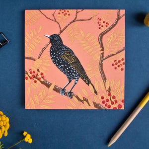 Étoile de carte postale, illustration d'oiseau pour les amoureux de la nature