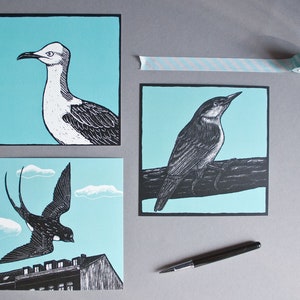 Ensemble de cartes postales oiseaux, illustrations d'animaux