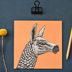 Carte postale Tête de Lama, illustration pour les amoureux de la nature