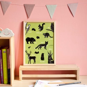 Poster Waldtiere A4, Tierillustrationen
