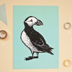 Póster frailecillo A4, ilustración animal frailecillo