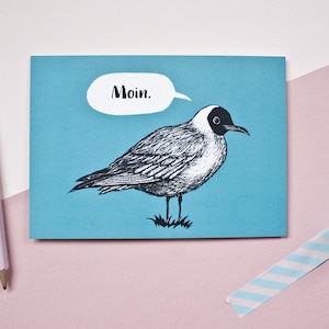 Carte postale Mouette Moin, illustration animalière