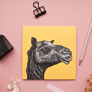 Postkarte Kamel, Illustration für Naturliebhaber Bild 3