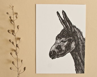 Postcard donkey, A6