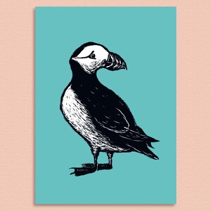 Poster puffin, A4 image 4