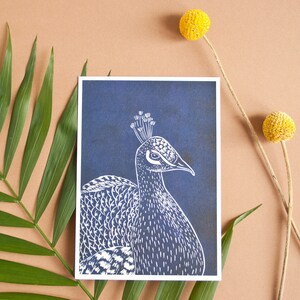 Cartolina pavone A6, cartolina con stampa su linoleum, illustrazione di animali uccello immagine 7