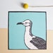 see more listings in the Animal Postcards section