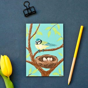 Carte postale Mésange avec nid, illustration oiseau, A6