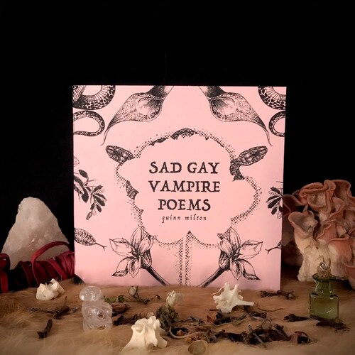 Sad Gay Vampire Poems zine