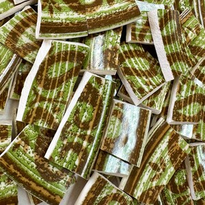 May include: A collection of broken ceramic tiles with a green and brown pattern. The tiles have a white border and a textured surface. The design features curved lines and organic shapes, creating a mosaic effect.