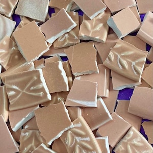 May include: A collection of small, irregularly shaped, light brown mosaic tiles. Some tiles feature a leaf-like pattern. The tiles have a rough, textured surface and white edges. Ideal for craft projects or home decor.