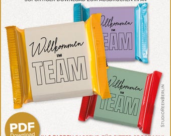24 Stück Papier-Geschenktüten Mit Griff – Aufschrift „Welcome To The Team“, Für Neue Mitarbeiter, Büro-Onboarding (21x8x15 Cm)