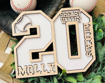 May include: A baseball-themed display featuring a black baseball glove, two white baseballs with red stitching, and a wooden number 20 with the name "Molly" and "Shelby Valley Wildcats" in a decorative font. The display is set on a woven background.