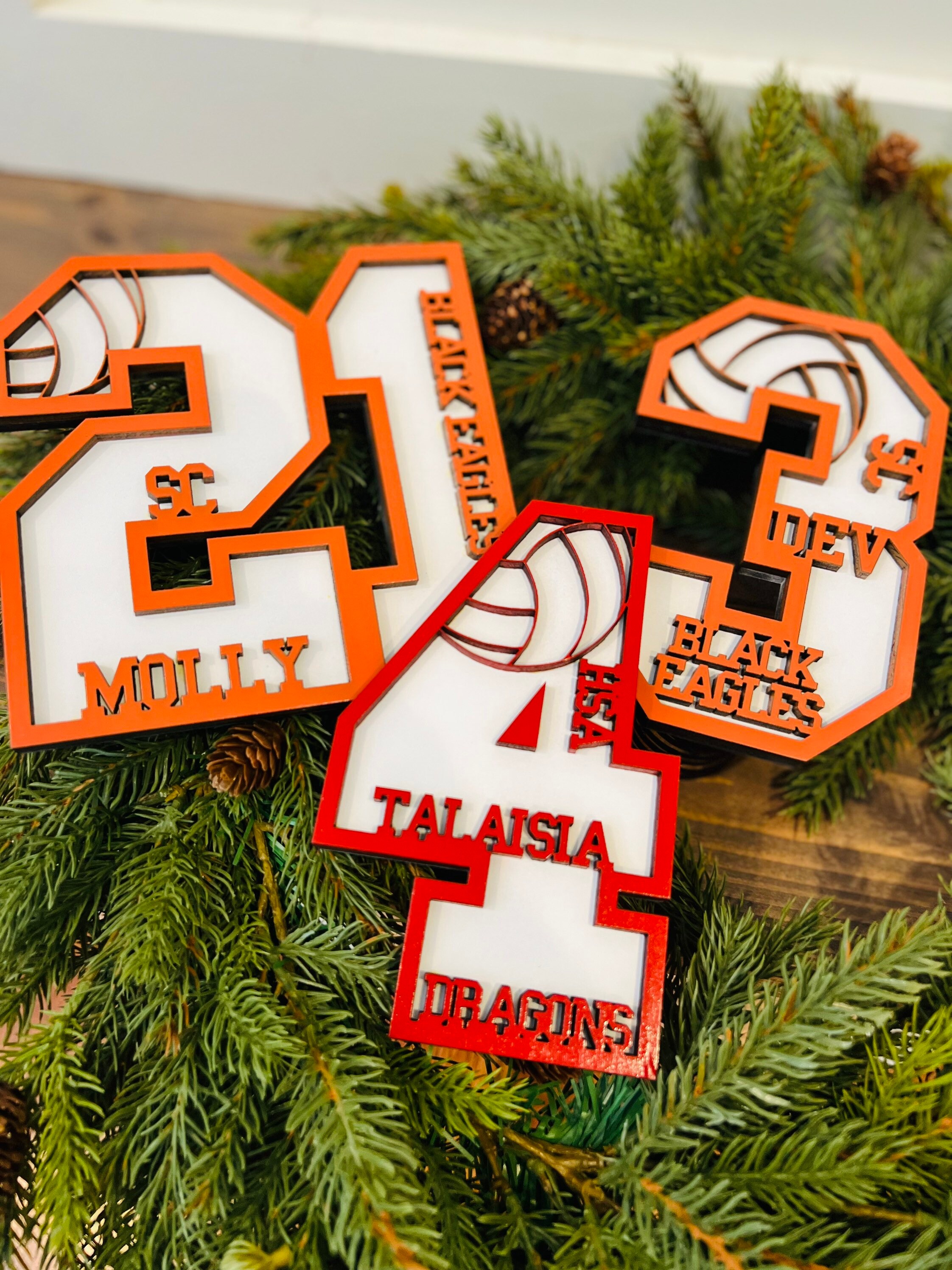 Senior Athlete, Senior Gift, Graduation Gift, Volleyball Senior Night