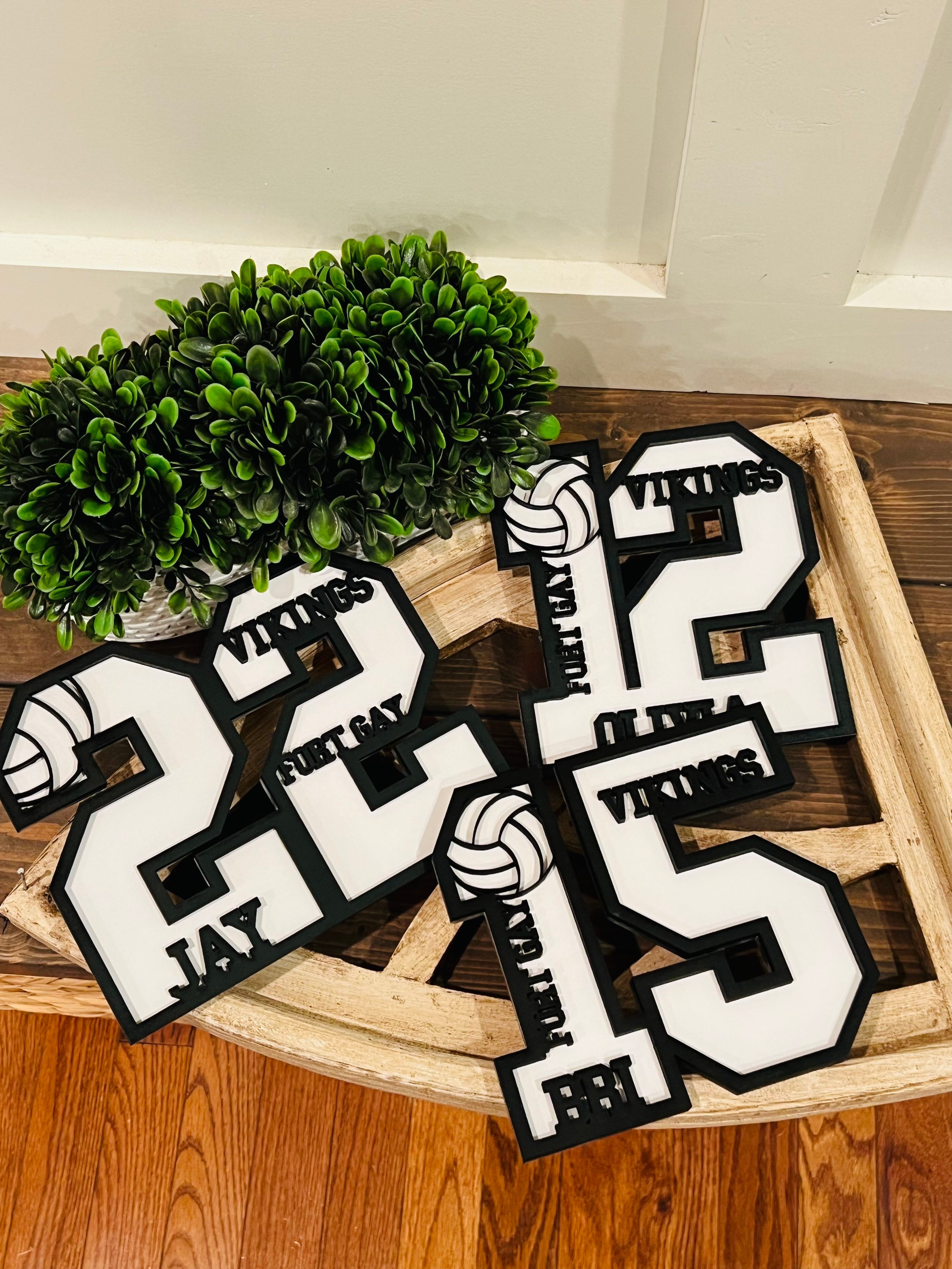 Senior Athlete, Senior Gift, Graduation Gift, Volleyball Senior Night