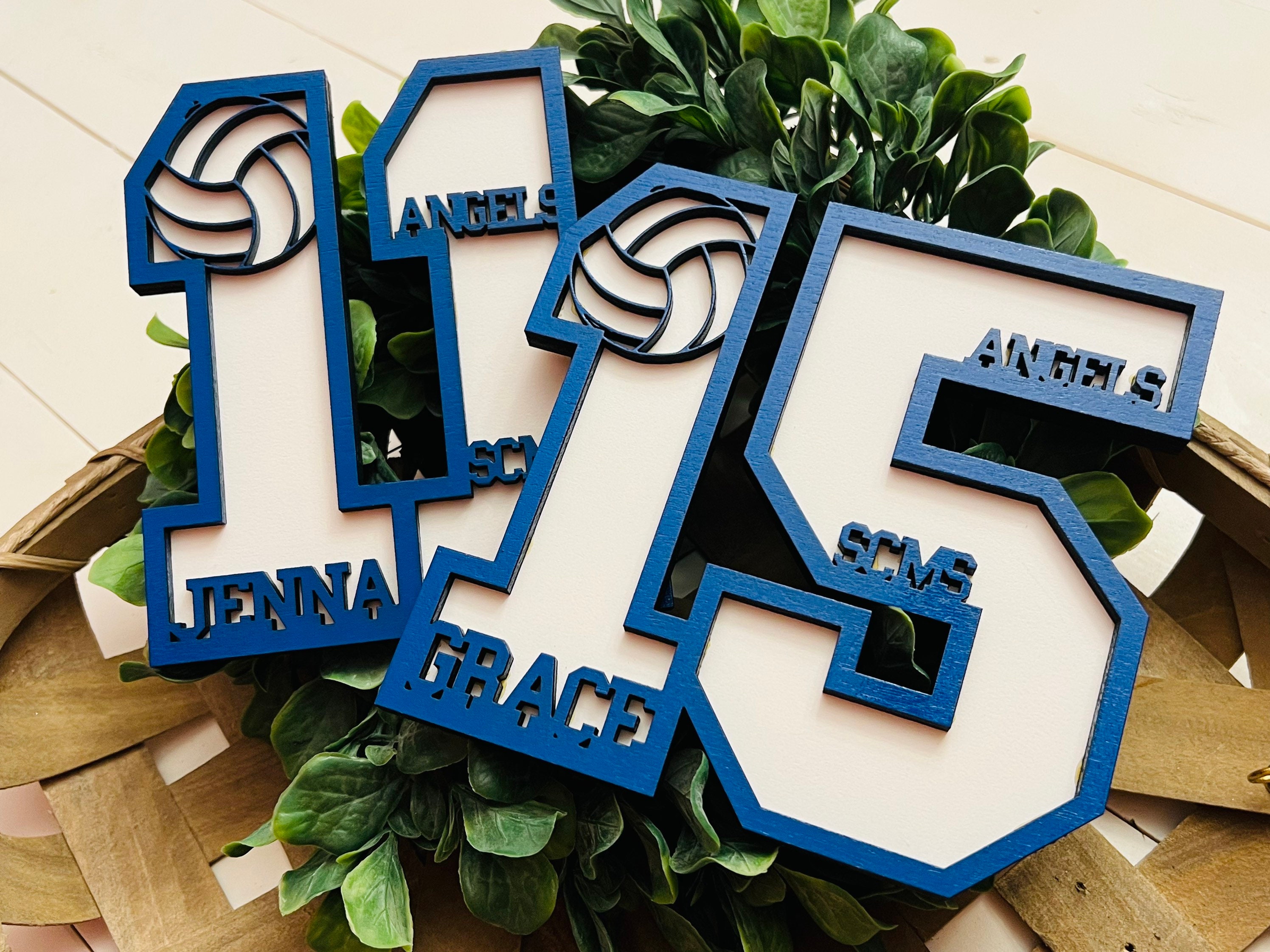 Senior Athlete, Senior Gift, Graduation Gift, Volleyball Senior Night