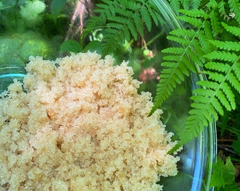 Organic Sugar Scrub