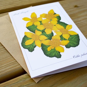 Yellow Marsh Marigold Greeting Card