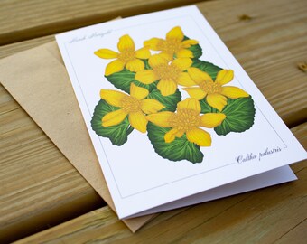 Yellow Marsh Marigold Spring Wildflower Card, Botanical Illustration (Blank Inside)