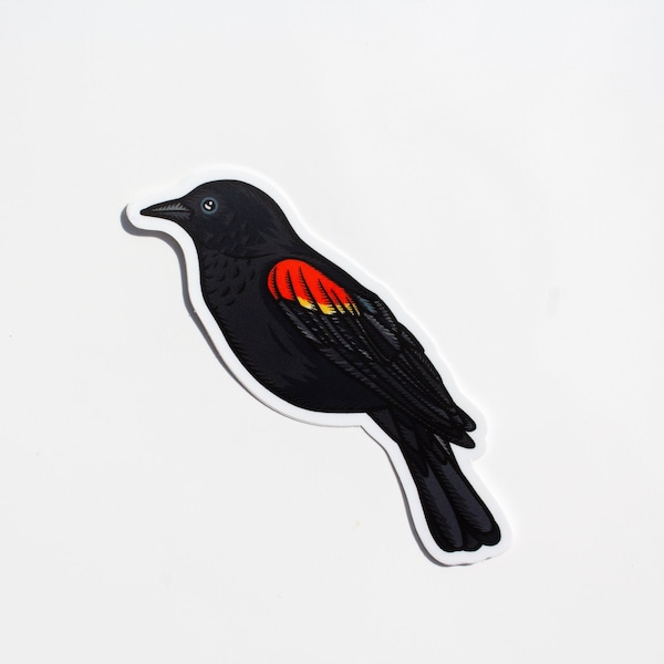 Red-winged Blackbird Original Illustration Sticker