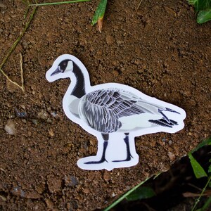 Canada Goose Original Illustration Sticker