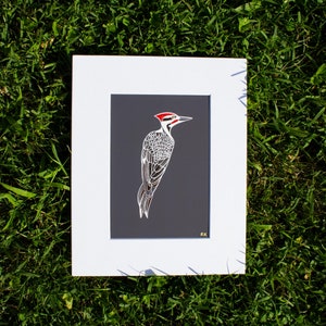 Pileated Woodpecker Original Illustration Print