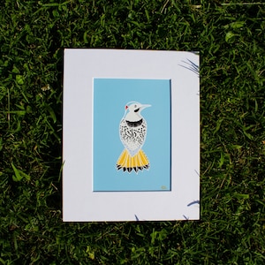 Northern Flicker Original Illustration Print