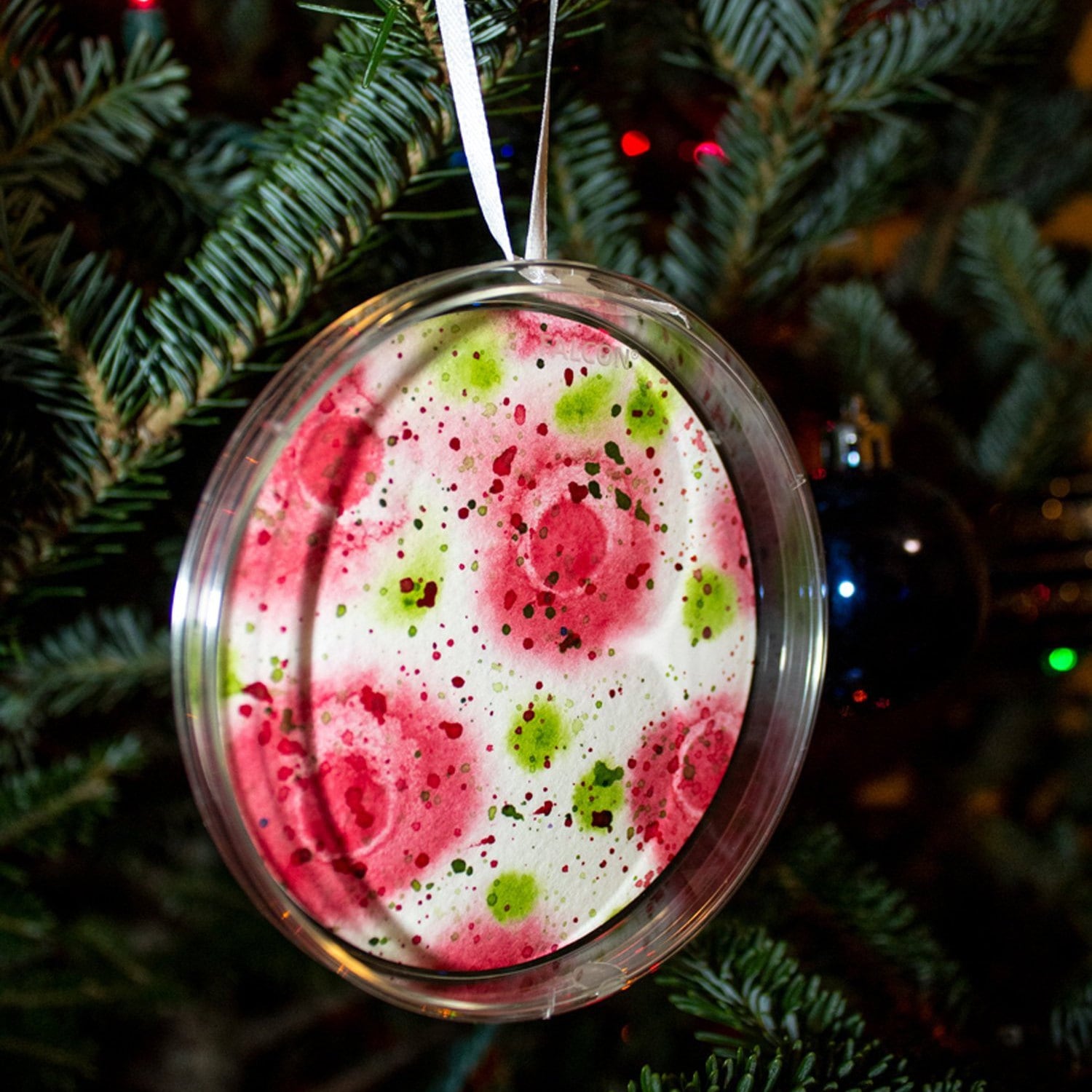Petri Dish Ornaments Etsy