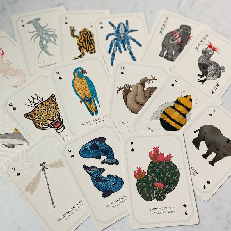 May include: A collection of playing cards featuring various animal illustrations. The cards showcase a variety of creatures, including a blue tarantula, a sloth, a bee, and a jaguar. The cards are white with black suit symbols and animal names.