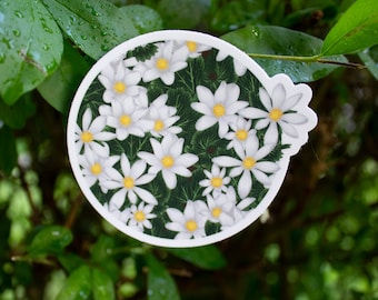 Adesivo com ilustração original de flor silvestre Sanguinária (Sanguinaria canadensis)