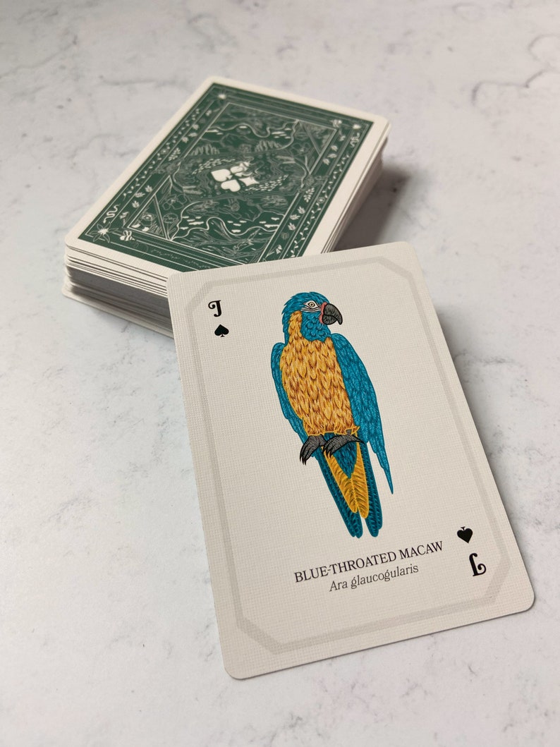 May include: A deck of playing cards with a green floral design on the back. The face-up card features a detailed illustration of a blue-throated macaw, with text that reads "BLUE-THROATED MACAW" and "Ara glaucogularis". The card is the Jack of Spades.