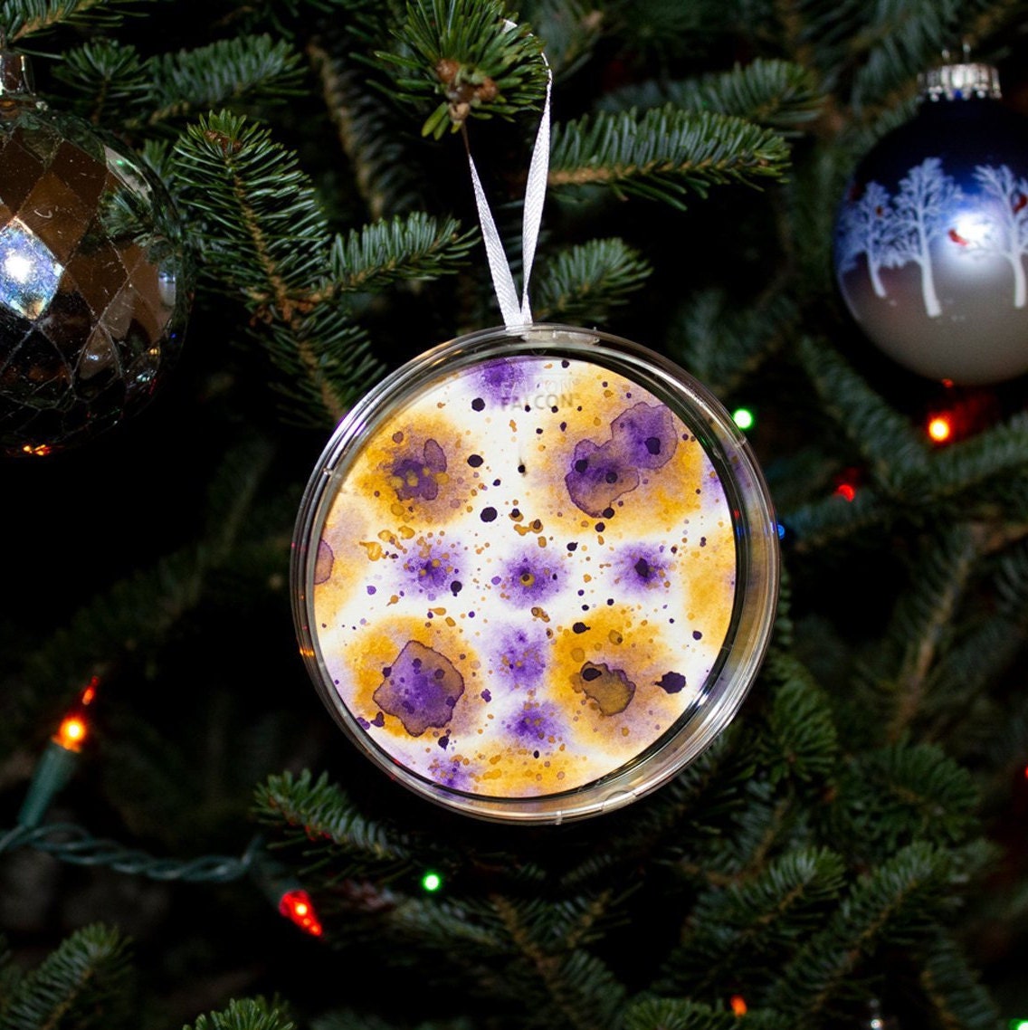 SALE on Set of 10 Petri Dish Ornaments Etsy