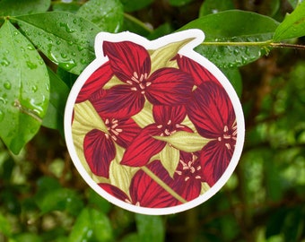 Adesivo com ilustração original de Trillium vermelho