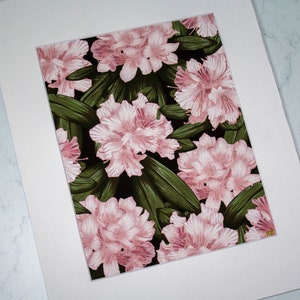 Rhododendron Original Illustration Print