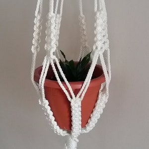 May include: White macrame plant hanger with a terracotta pot and a small green plant inside. The hanger has a tassel at the bottom.