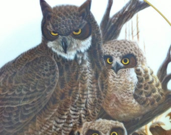 Great Horned Owl Plate by John A Ruttner/Wildlife International Collectible Plate/Owl Display Plate/Owl Figurines/Owl Wall Decor/Owl Print