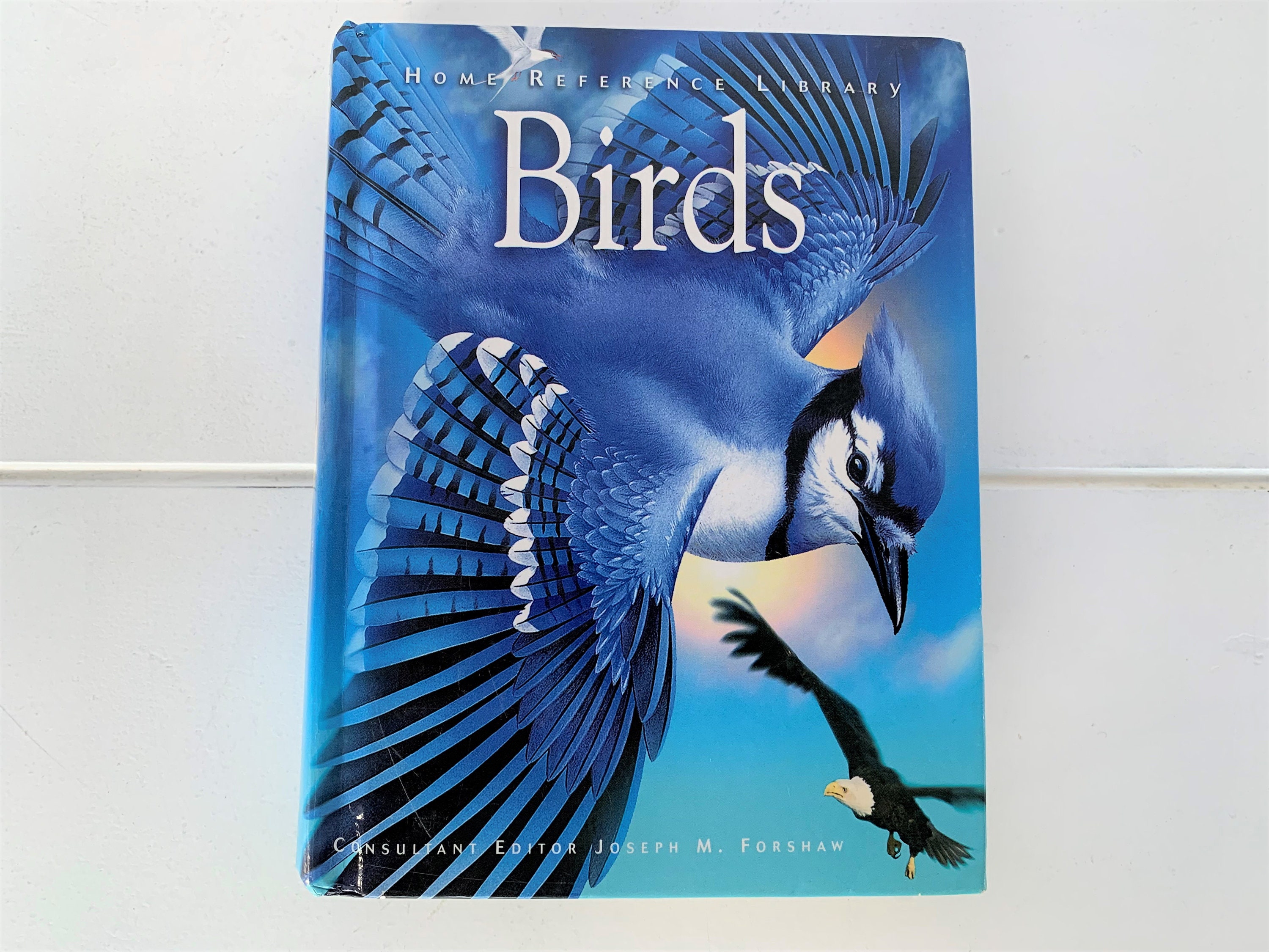 Pocket Bird Guide - Etsy
