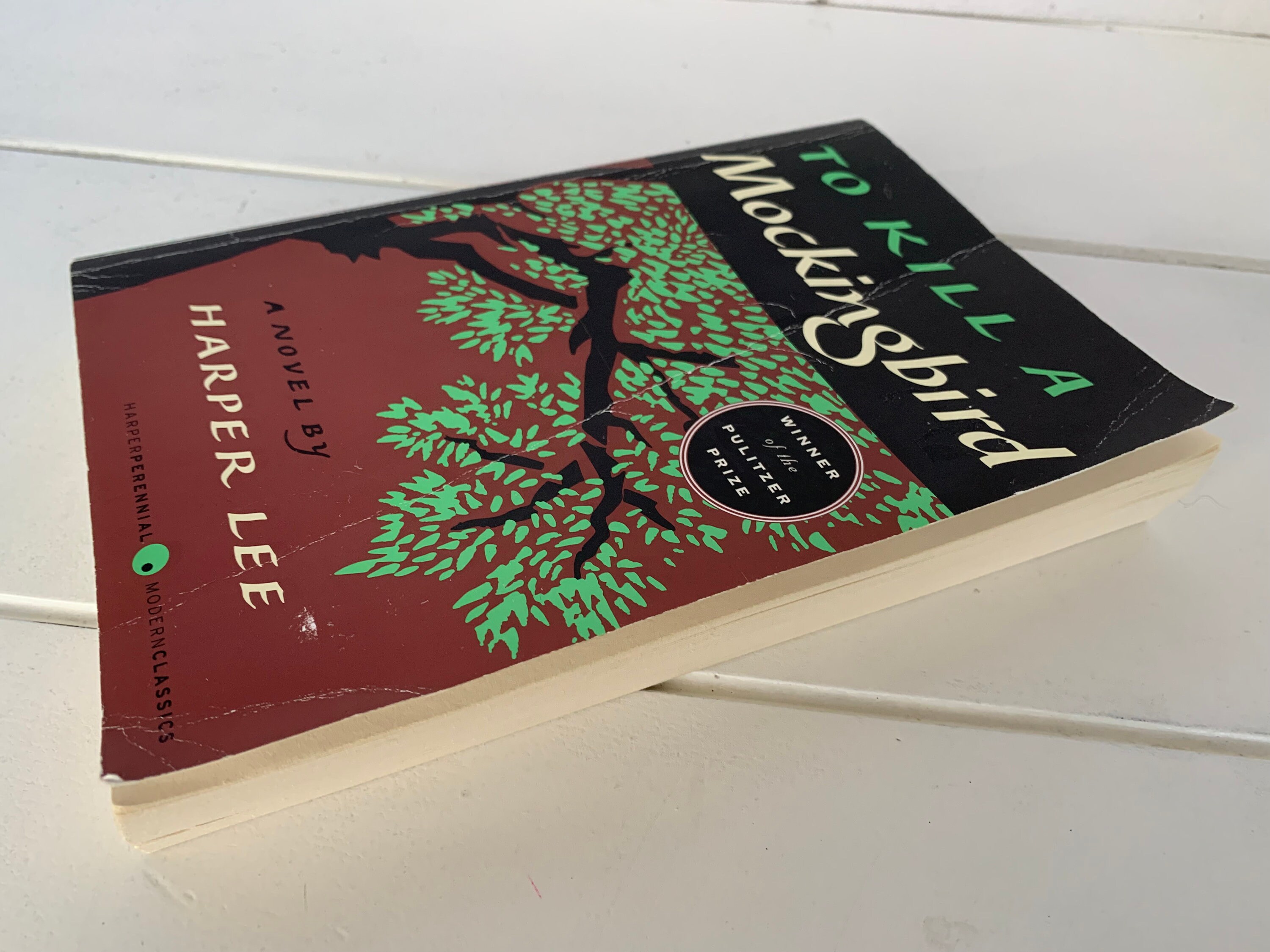 2023年の洋書1冊目：『To Kill A Mockingbird』(邦題『アラバマ