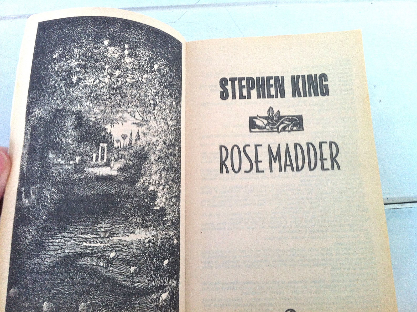 rose madder novel rose madder novel